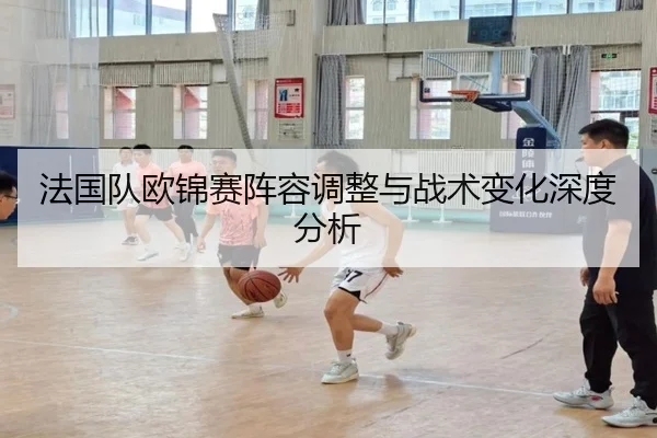 法国队欧锦赛阵容调整与战术变化深度分析